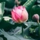 Resilience