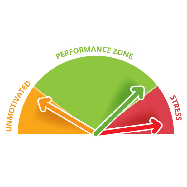 performance